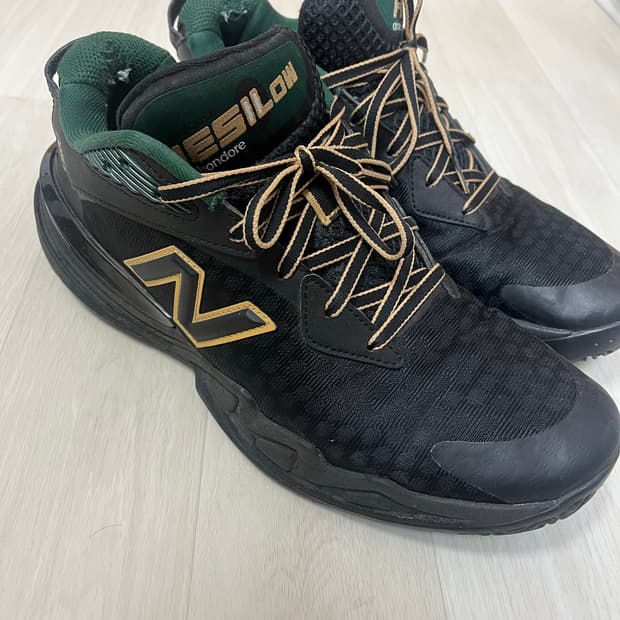 에메레옹도르 뉴발란스 HESI Low vol2