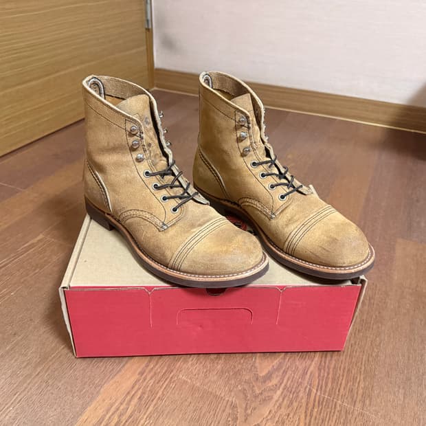 레드윙 8083 270 서플라이루트 구입