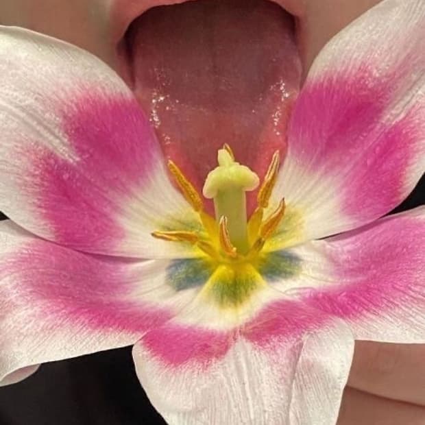연휴 배송 안내 🌹