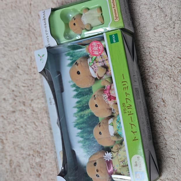 실바니안 토이푸들 패밀리 판매합니다