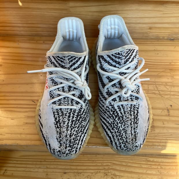 이지부스트 지브라