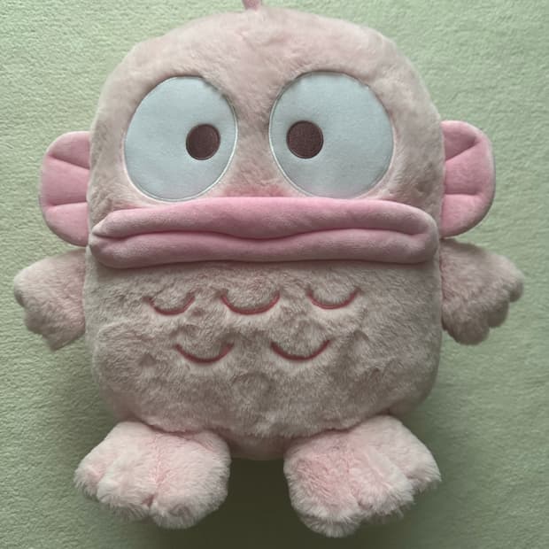 500개한정 핑크한교동