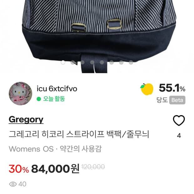 💥급처)그레고리 백팩/빈티지 가방