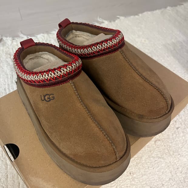 어그 타즈  체스트넛 230