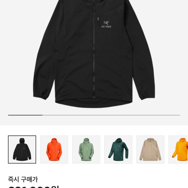 아크테릭스 스쿼미시 후디 블랙