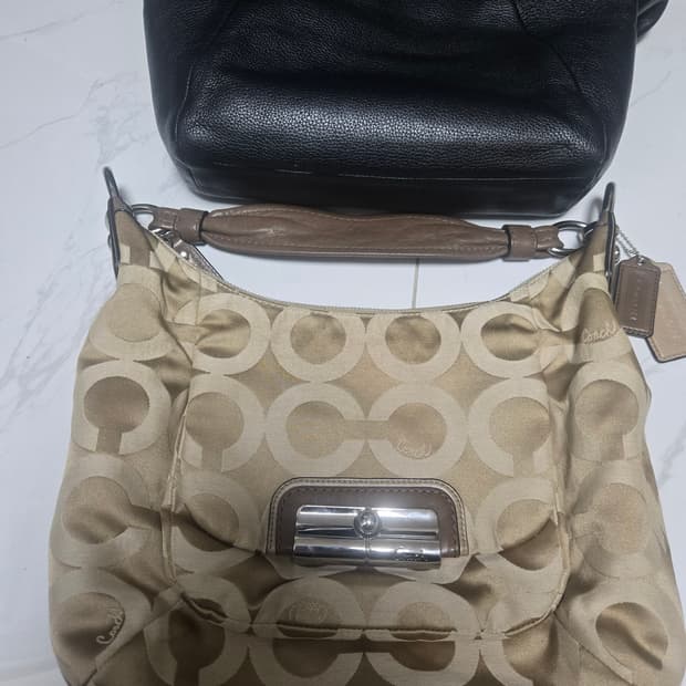 코치 시크니처 소호 백