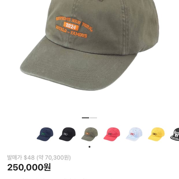 슈프림 뉴욕 아크 6-패널 올리브 24ss