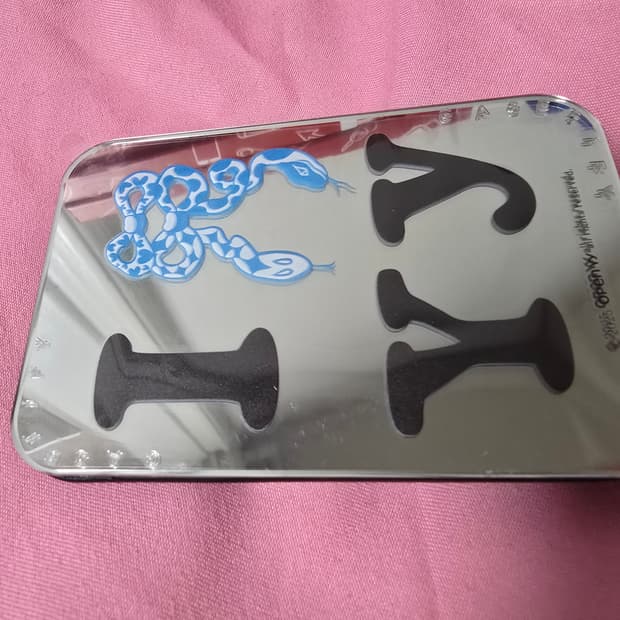 케이스티파이x오픈Yy블루리본 스네이크 카드홀더 새상품