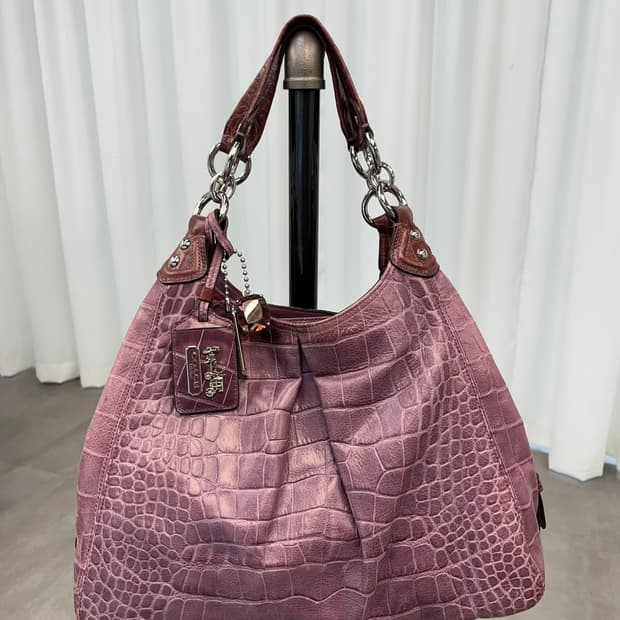 Coach Purple Basic Bag