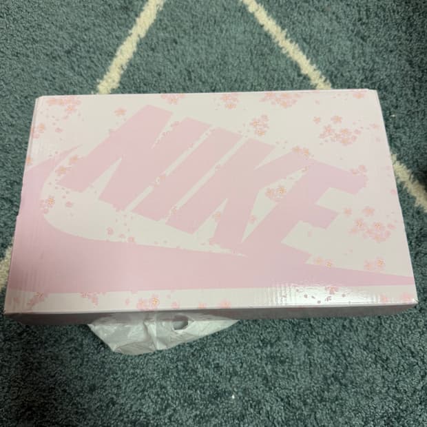 나이키 에어레프트 브리드