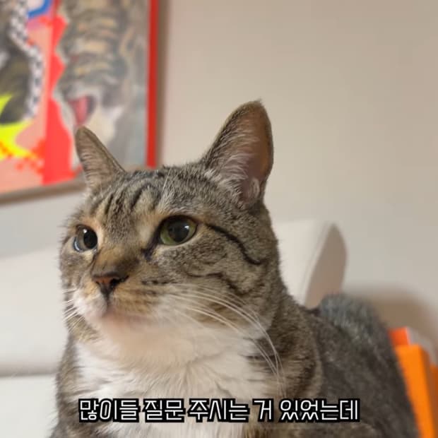 루마니아 특산품 판매