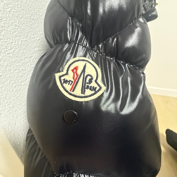 몽클레어 알릭스 사이러스 sirus 패딩