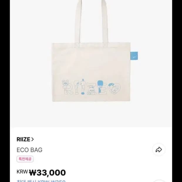 라이즈 리틀라이즈 파크 에코백