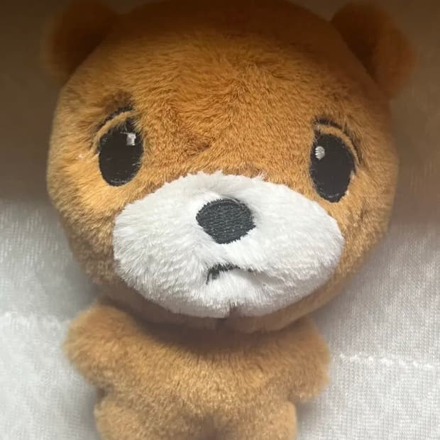 번장결제창
