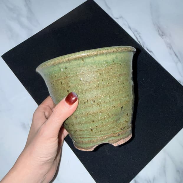 일제분(99) 13.5cm x 11cm