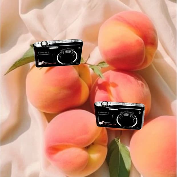 셀카&한효주 디카!) Samsung PL150 카메라