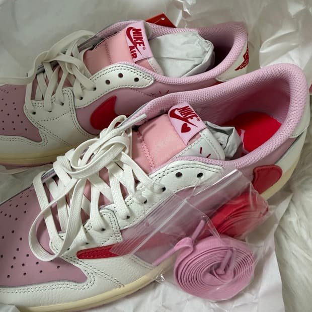 Jordan 1 x Scott Tropical Pink 280