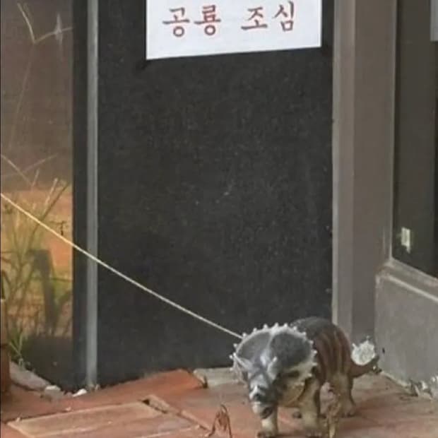 릭오웬스 부츠