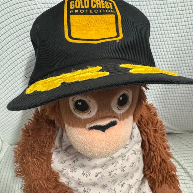 Vintage Trucker Mesh Hat 빈티지 트러커 햇