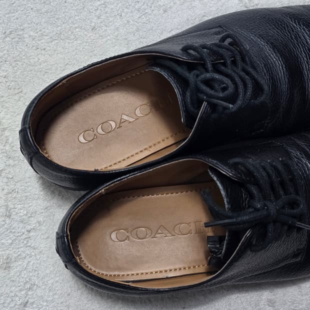 Coach 코치 더비 레더 구두 블랙 265