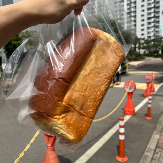 투빌더스하우스 하프 팬츠