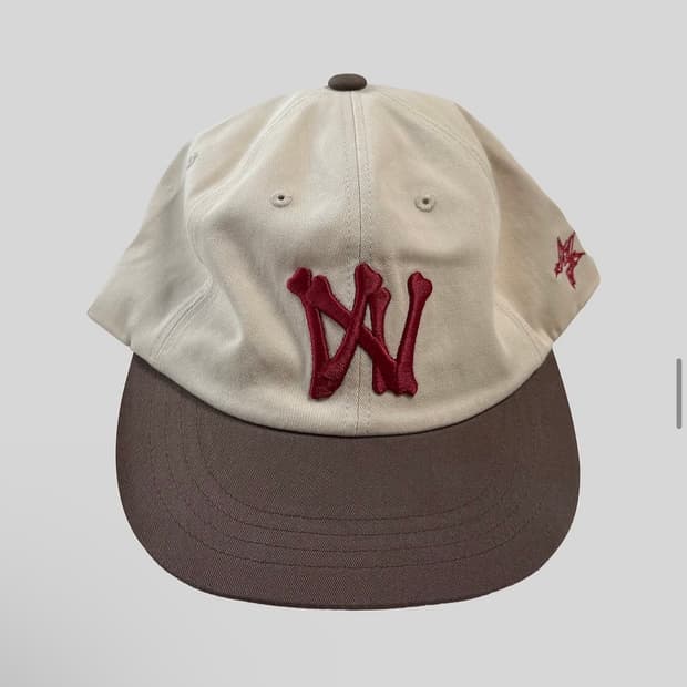 아오이로 6 패널 본 캡