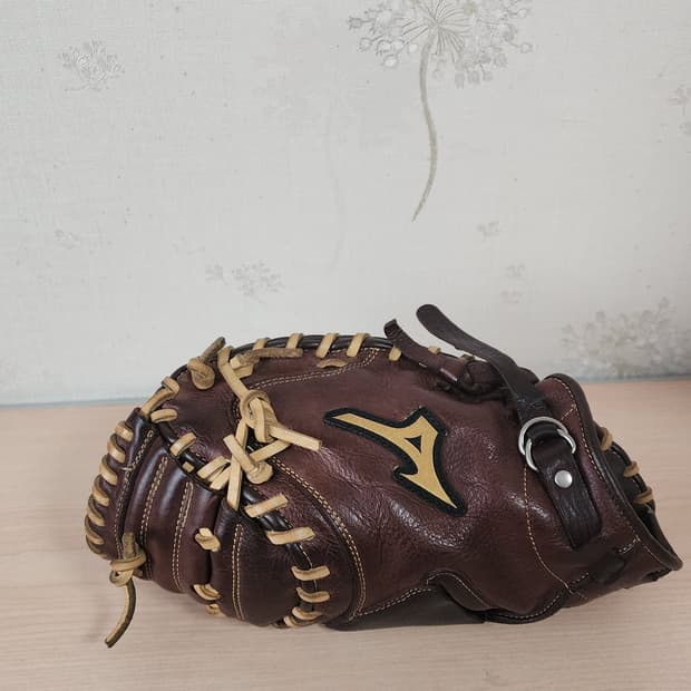 미즈노(MIZUNO) 프로페셔널 포수글러브 33.50