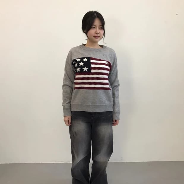 SHEIN American Flag Knit Sweater