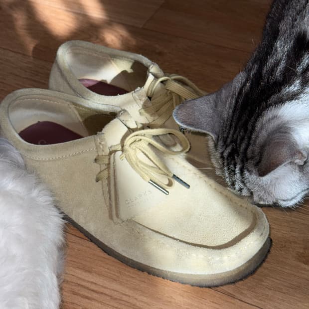 클락스 왈라비 메이플 스웨이드