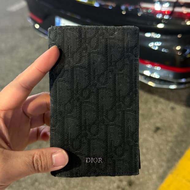 디올 롱 오거나이저