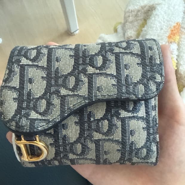 디올 오블리크 새들 로터스 지갑