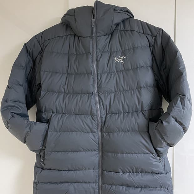 아크테릭스 토륨 후디  L