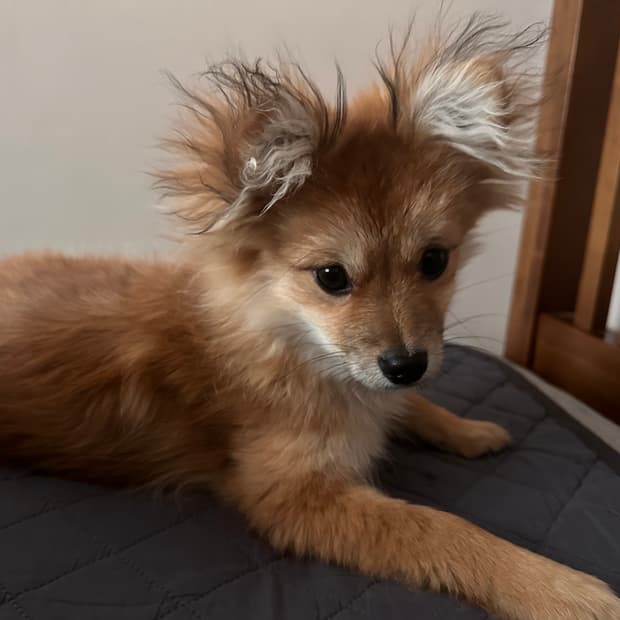 Neighborhood 한원섭