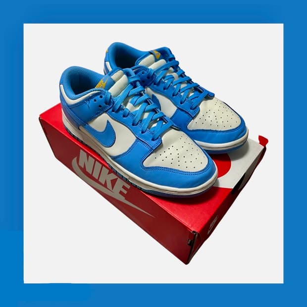 (W)나이키 덩크 로우 코스트 260