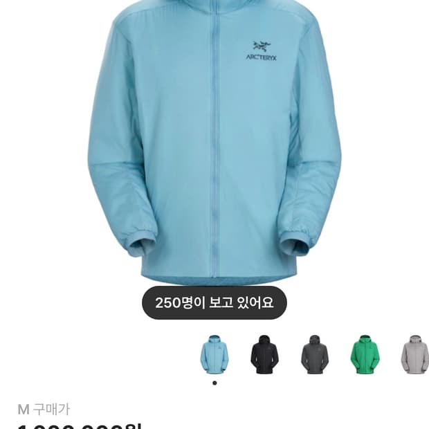 아크테릭스 아톰 LT 후디 솔레스