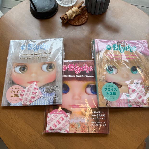 블라이스 도서 팝니다