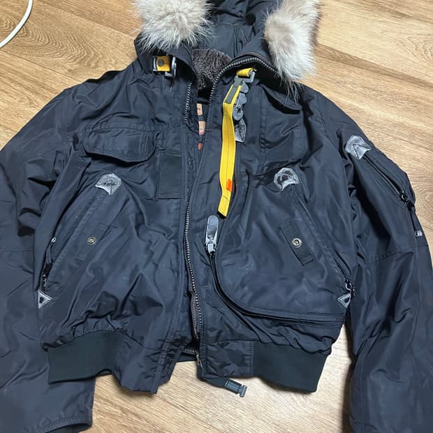 파라점퍼스 고비 마스터피스