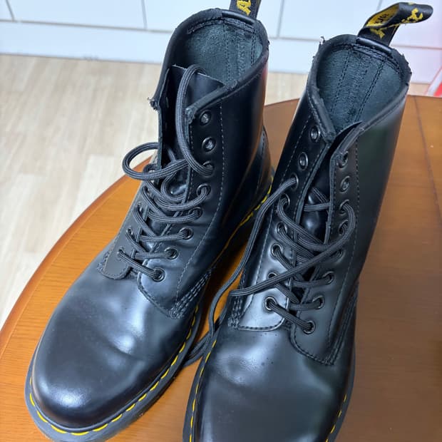 닥터마틴 1460 270