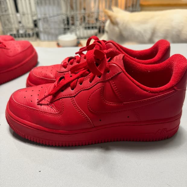 나이키 에어포스 트리플레드 240 (박스X)