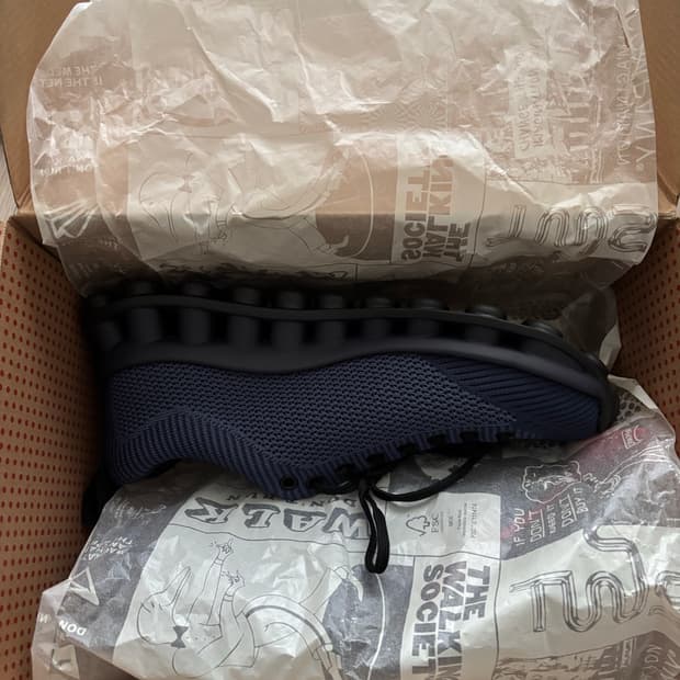 (41) 캠퍼 써네이 펠로티시마