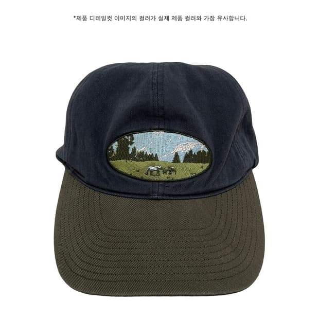 (새제품) 더콜디스트모먼트 모자 볼캡 필드캡 TCM field cap