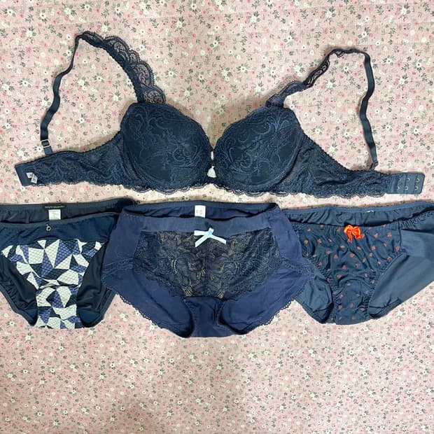 레이스망사 여성속옷/보디가드/프렌치엘/오모떼/면스판,매쉬