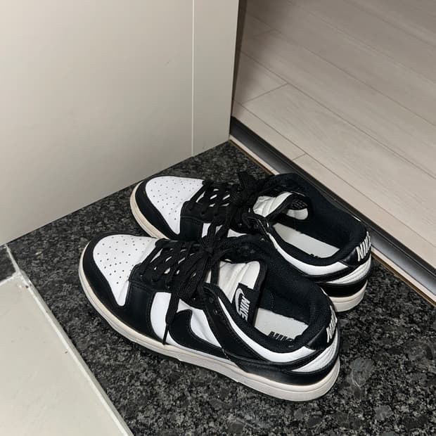 나이키덩크로우블랙