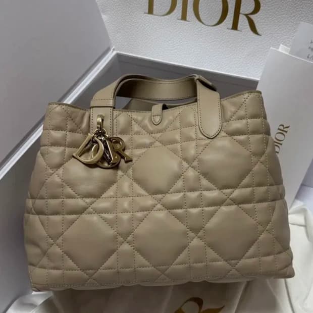 디올 뚜주흐백 미듐 베이지
