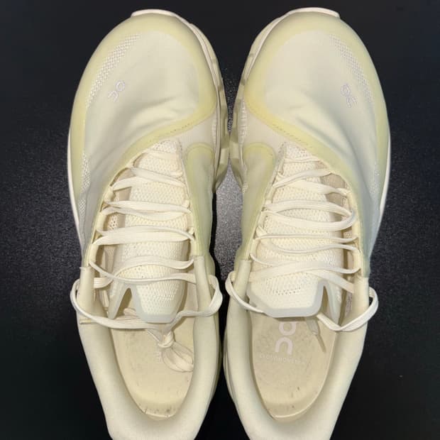 온 러닝 x 포스트 아카이브 팩션 (파프)