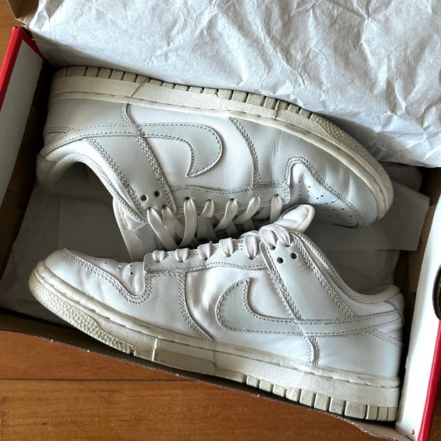 덩크 포톤더스트 230