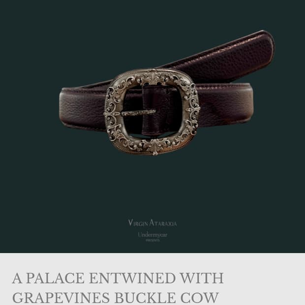 Undermycar 벨트 다크퍼플 2