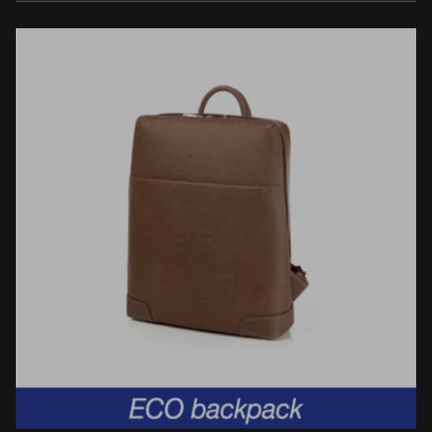 (Samsonite) 프루덴스 에코(Prudence Eco) 백팩 14