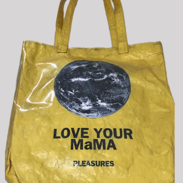 Pleasures bag