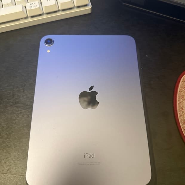 아이패드 미니6 64gb